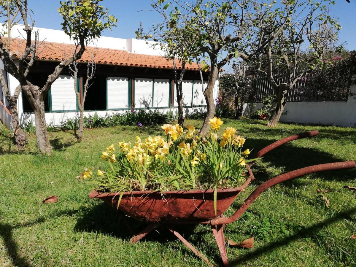 Limón Y Sol *