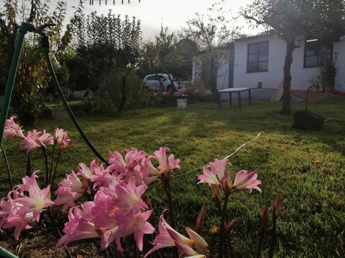 Сasa de vacaciones Limón Y Sol El Sauzal