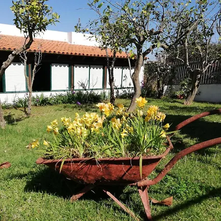 Casa Rural Limon Y Sol Sauzal Zewnętrze zdjęcie
