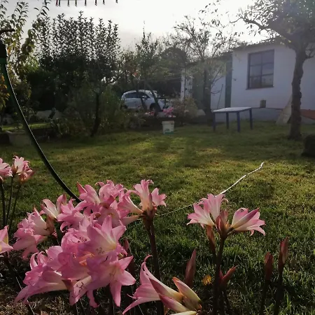 Casa Rural Limon Y Sol Sauzal Zewnętrze zdjęcie