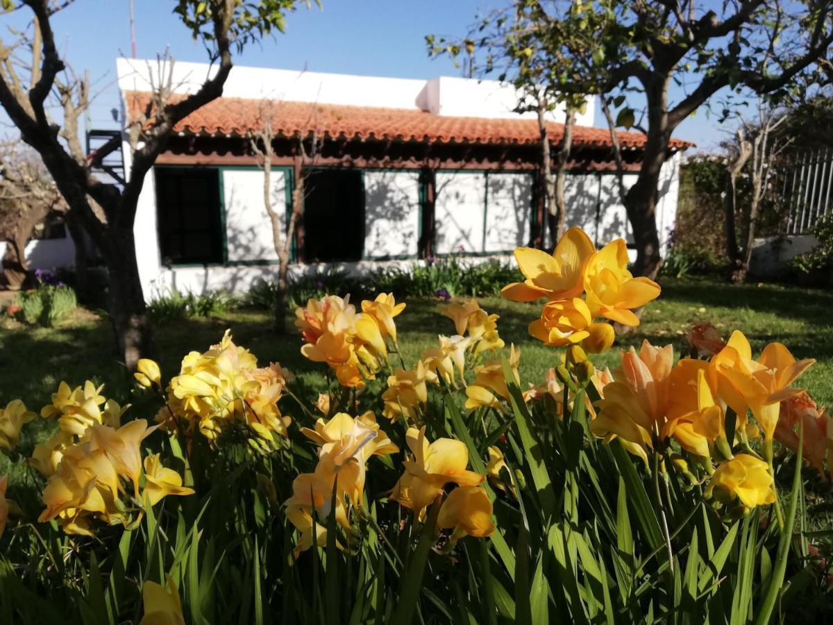Holiday home Limon Y Sol