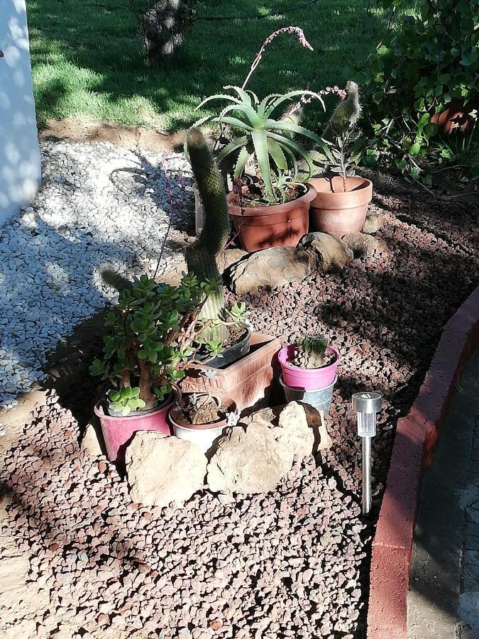 Holiday home Limon Y Sol