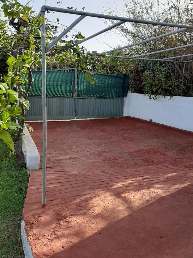 Limon Y Sol Sauzal