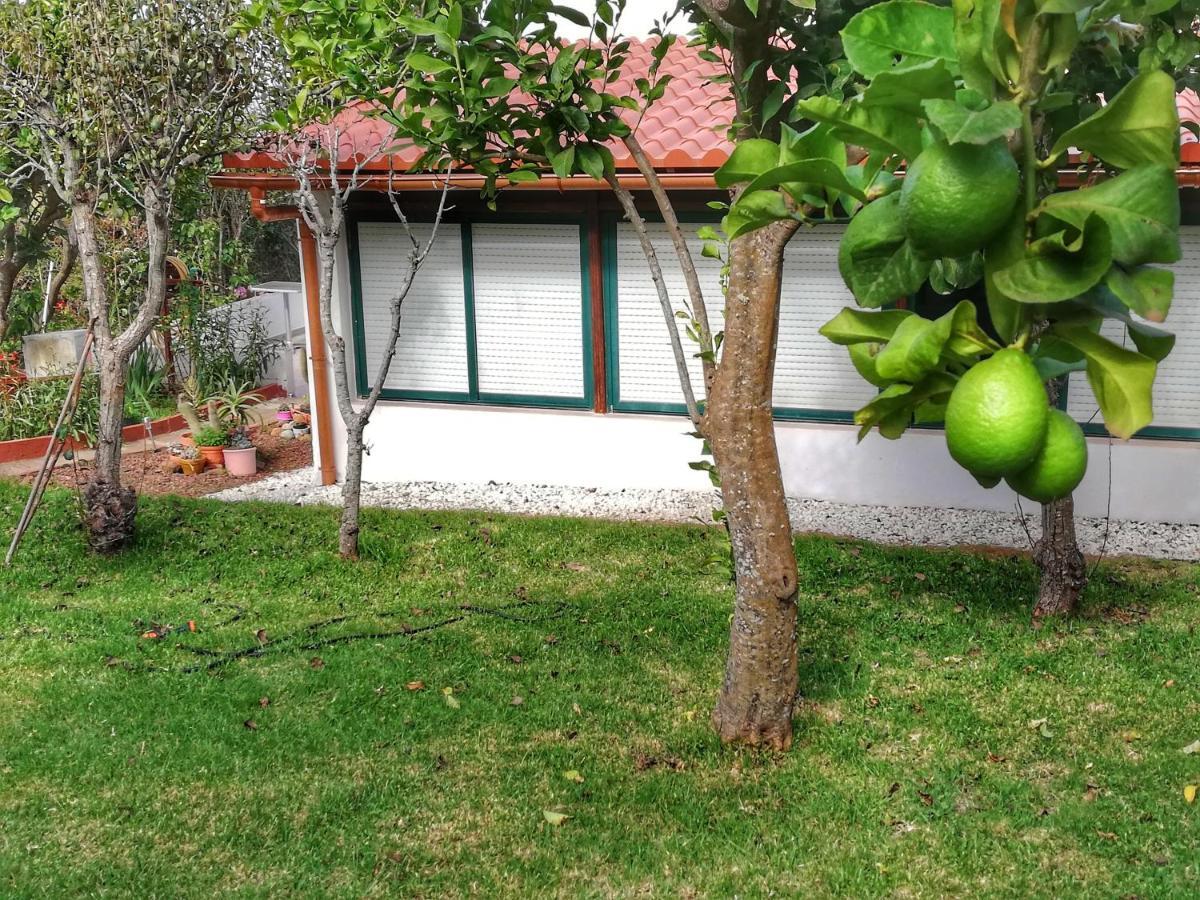 Limon Y Sol Holiday home Sauzal
